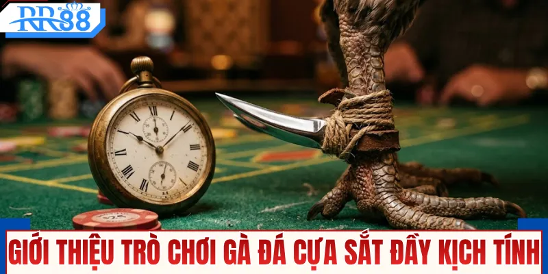 Giới thiệu trò chơi gà đá cựa sắt đầy kịch tính