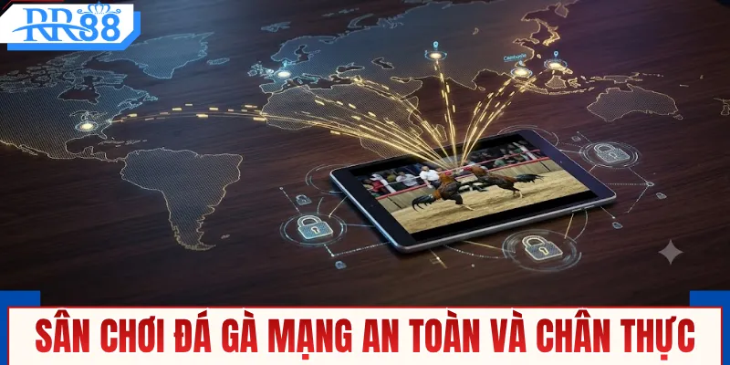 Khám phá sân chơi đá gà mạng an toàn và chân thực
