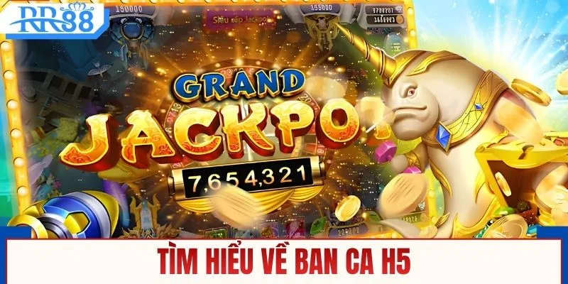 Sơ lược về ban ca h5 dễ hiểu cho người mới